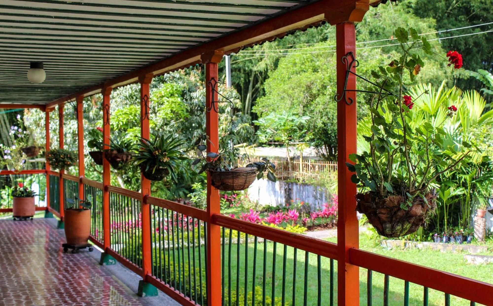 Hotel Campestre La Floresta Armenia  Esterno foto