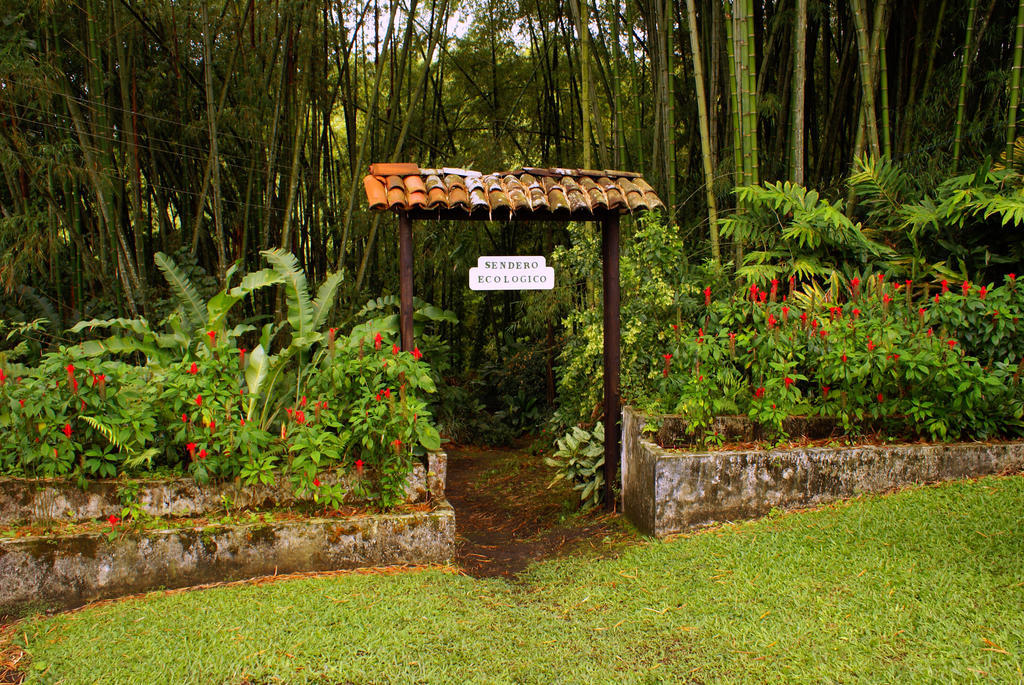 Hotel Campestre La Floresta Armenia  Esterno foto